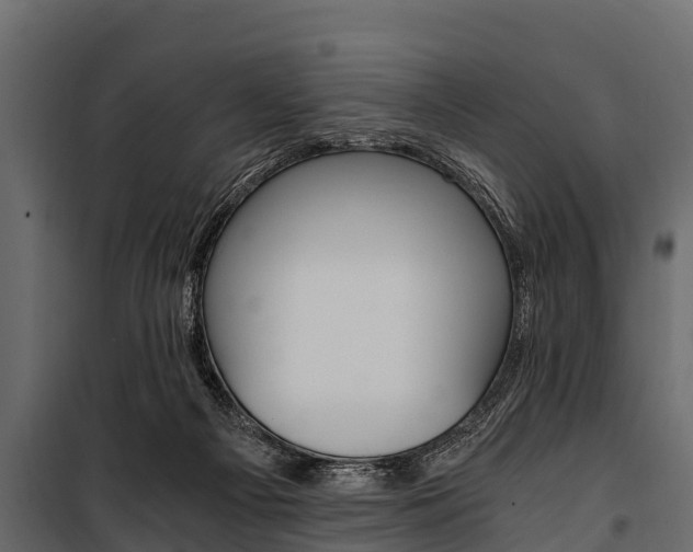 X0000100940121200806241212