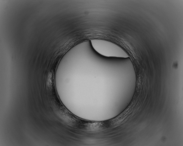 X0000100940122200806241212
