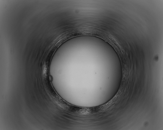 X0000100940124200806241212
