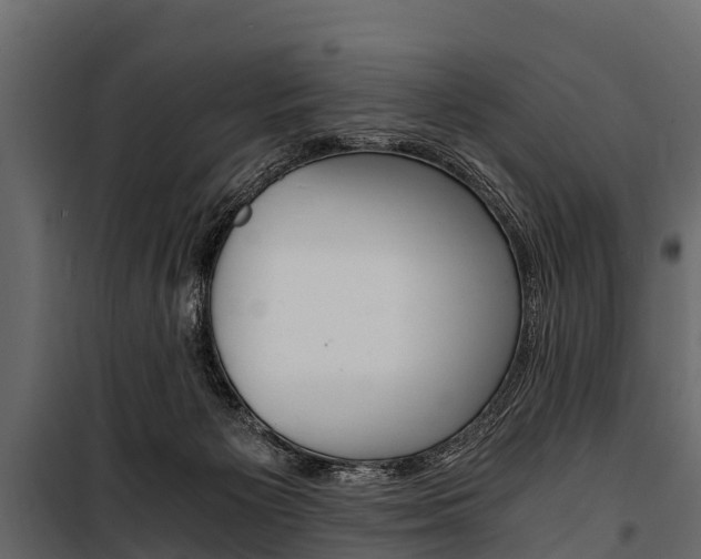 X0000100940125200806241212
