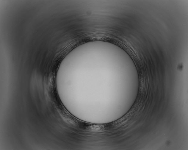 X0000100940126200806241212