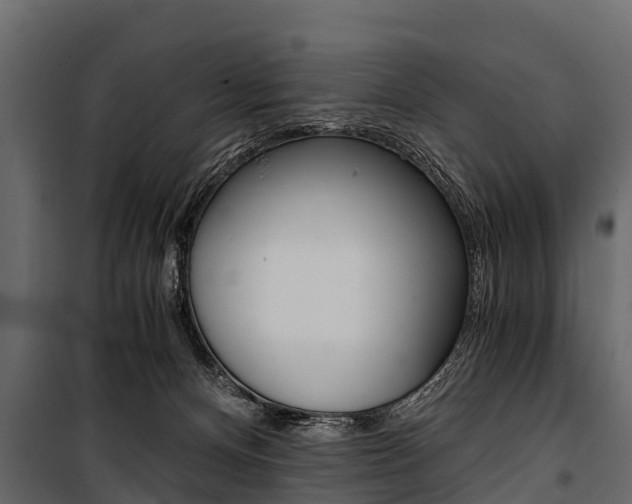 X0000100940128200806241212