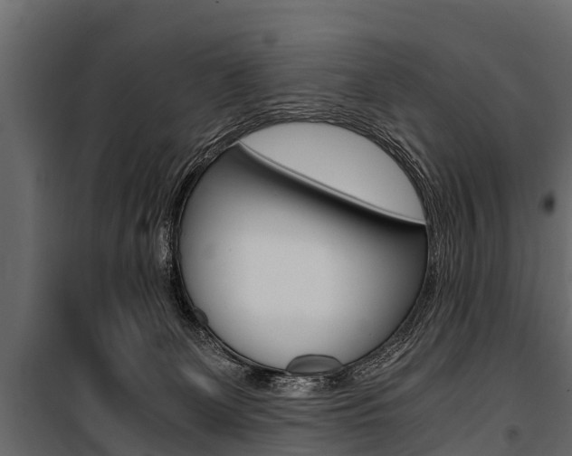 X0000100940131200806241212