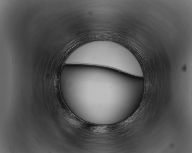 X0000100940132200806241211