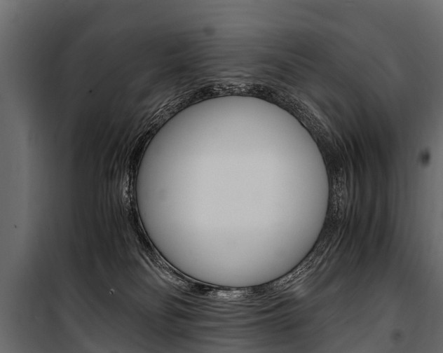 X0000100940134200806241211