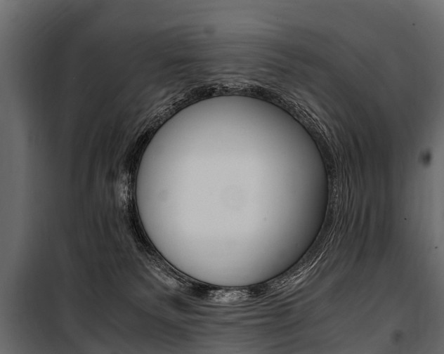 X0000100940135200806241211
