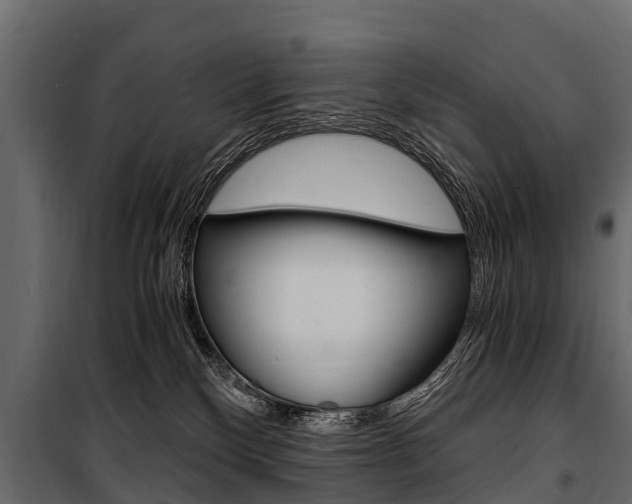 X0000100940136200806241211