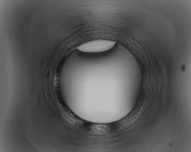 X0000100940137200806241211