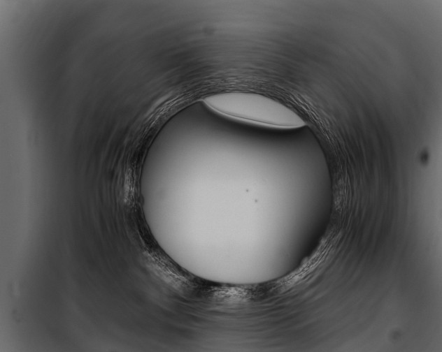 X0000100940140200806241211