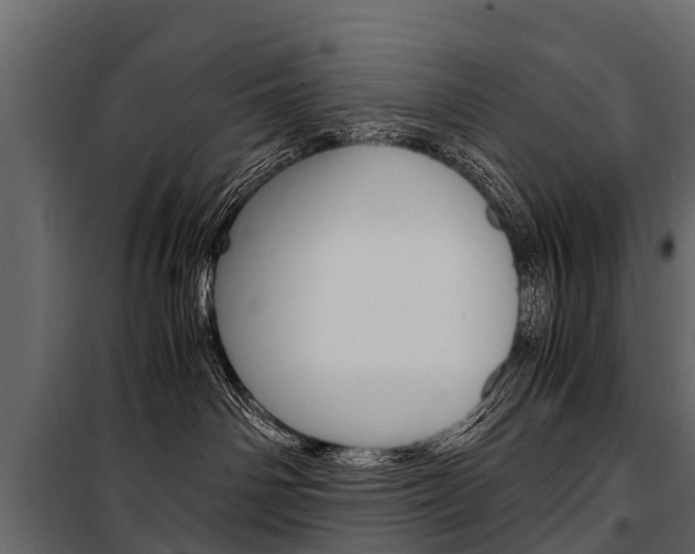 X0000100940142200806241211