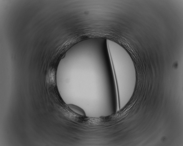 X0000100940143200806241211