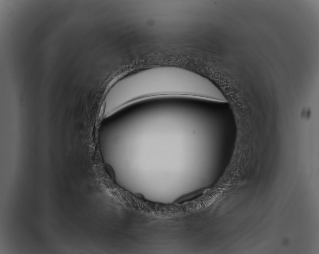 X0000100940144200806241211