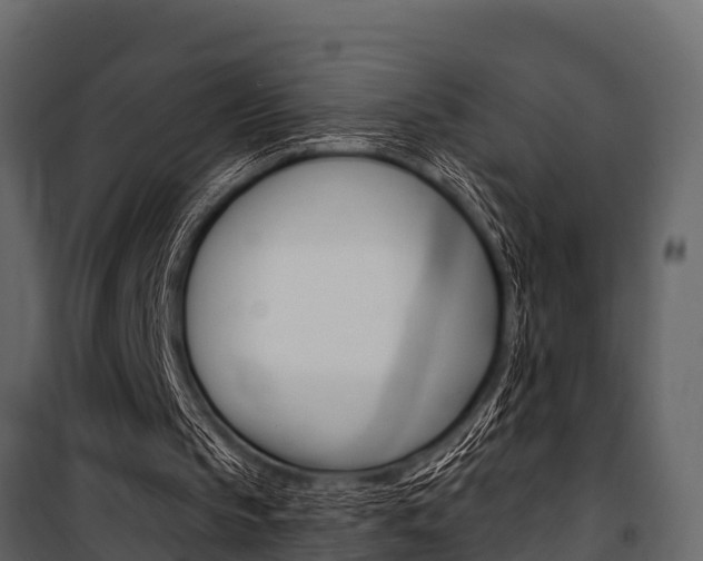 X0000100940145200806241211