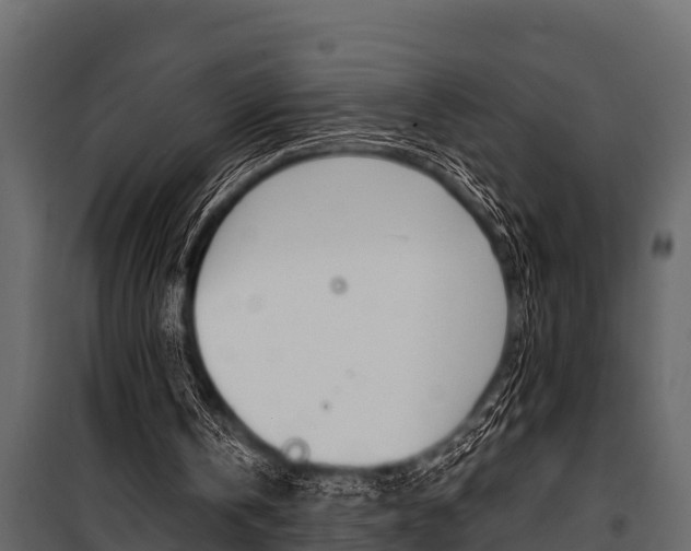 X0000100940146200806241211