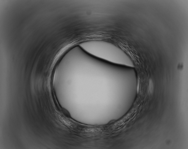 X0000100940147200806241211