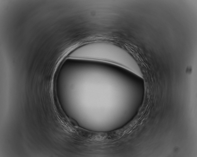 X0000100940148200806241211