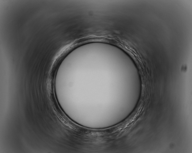 X0000100940149200806241211