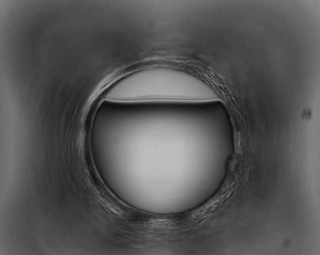 X0000100940150200806241211