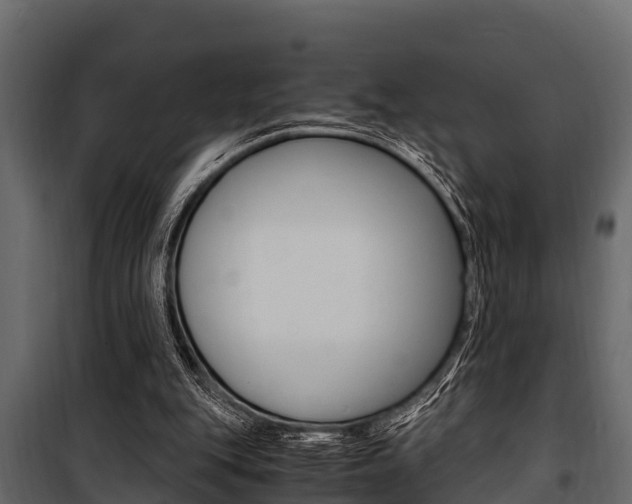 X0000100940151200806241211