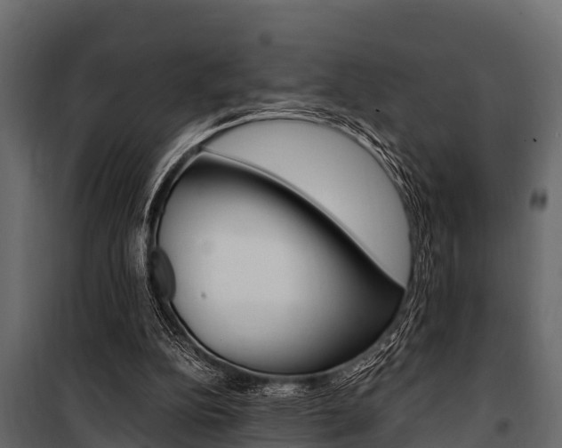 X0000100940152200806241211