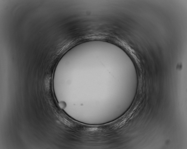 X0000100940153200806241211
