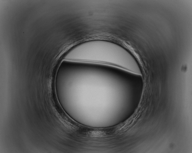 X0000100940154200806241211
