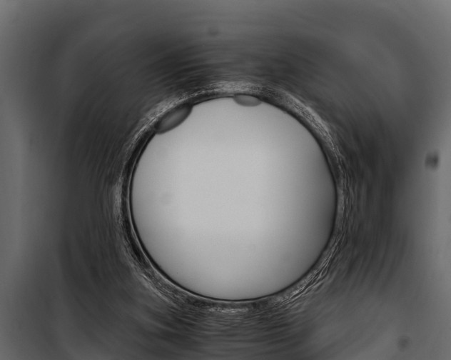 X0000100940155200806241211