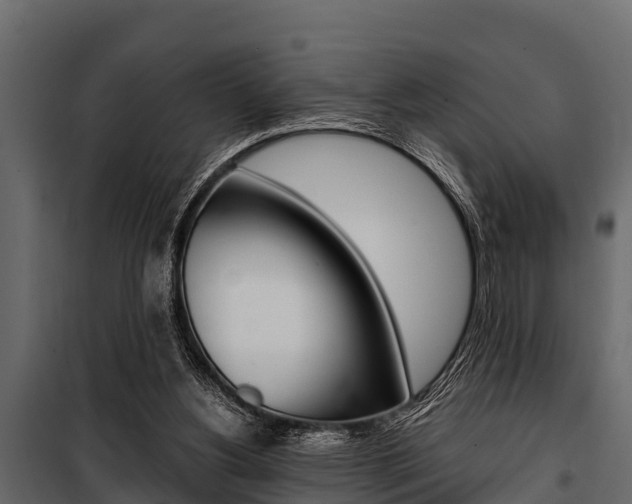 X0000100940156200806241211