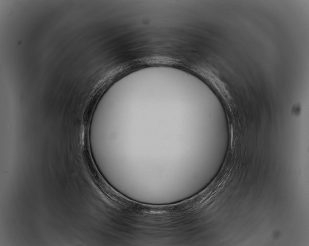 X0000100940157200806241211