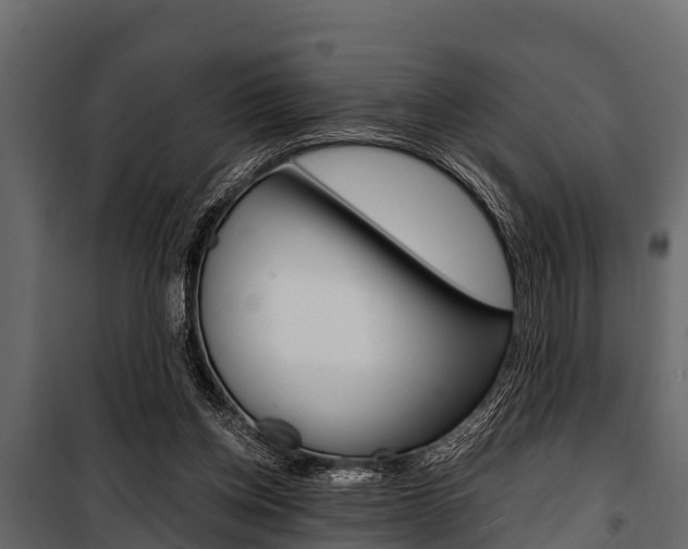 X0000100940158200806241211
