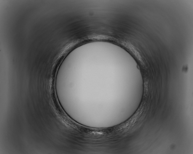 X0000100940159200806241211