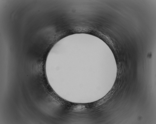 X0000100940162200806241211