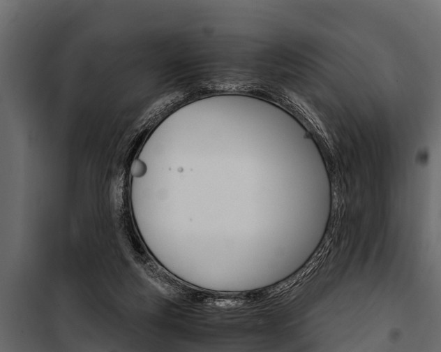 X0000100940163200806241211