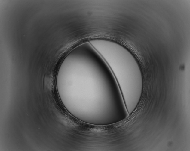 X0000100940164200806241211