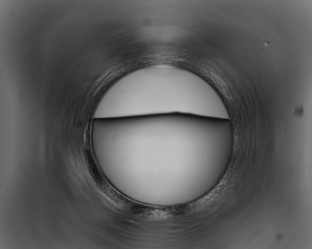 X0000100940166200806241211