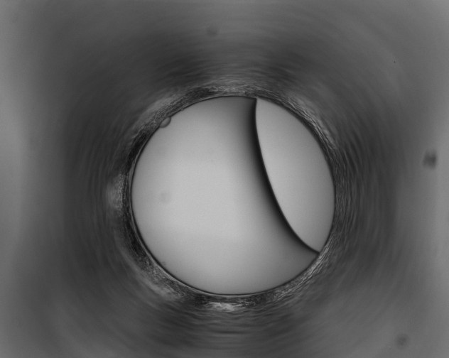X0000100940167200806241211