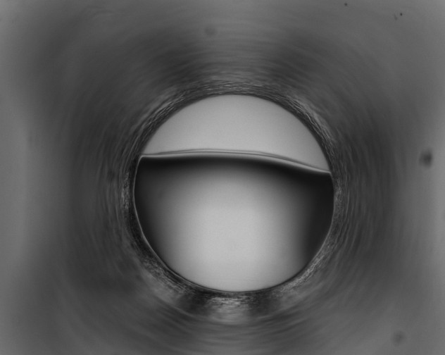 X0000100940170200806241211