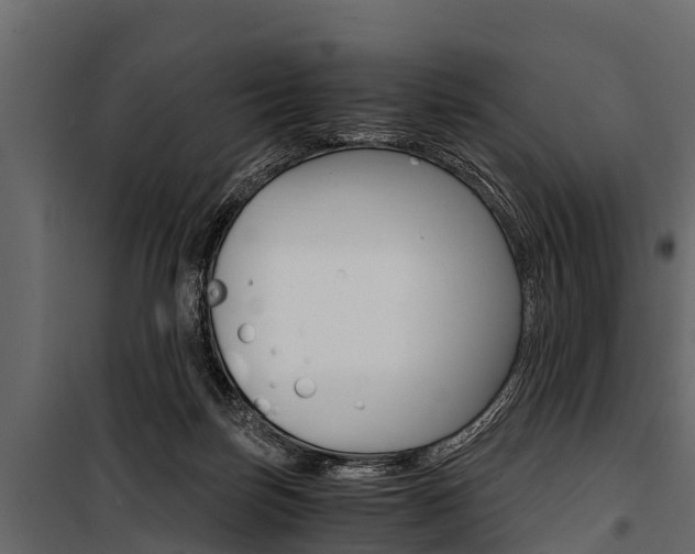X0000100940171200806241211