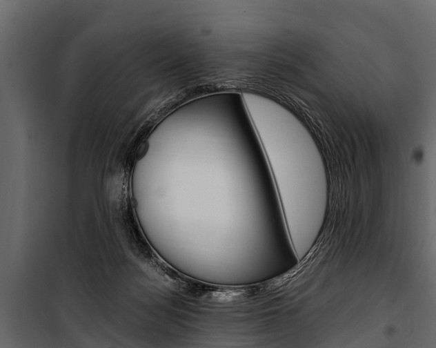 X0000100940172200806241211