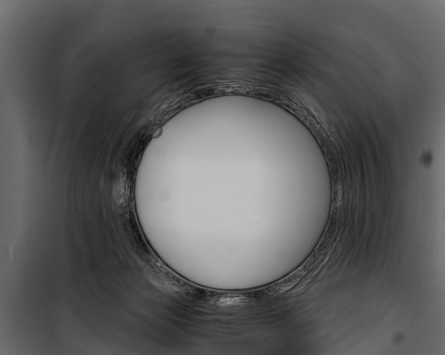 X0000100940173200806241211
