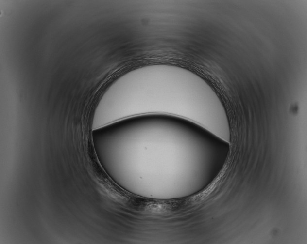 X0000100940174200806241211