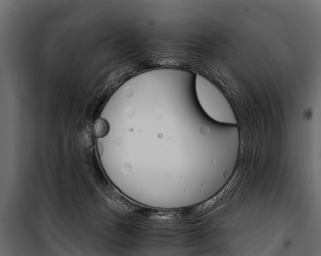 X0000100940175200806241211