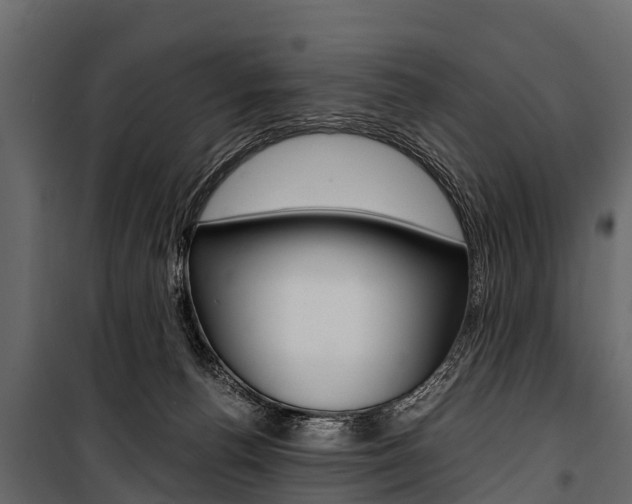 X0000100940176200806241211