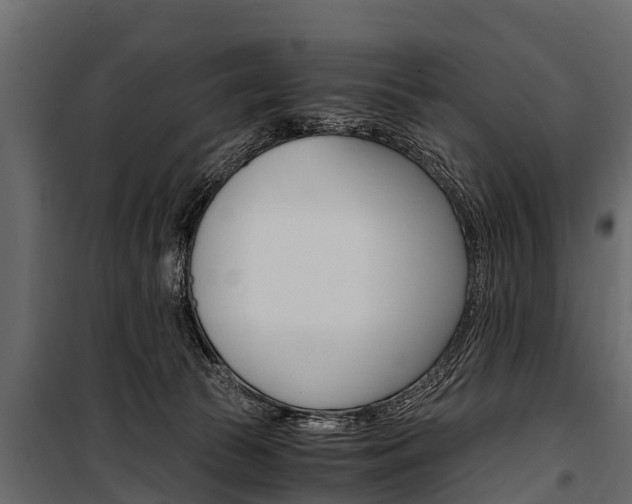 X0000100940177200806241211
