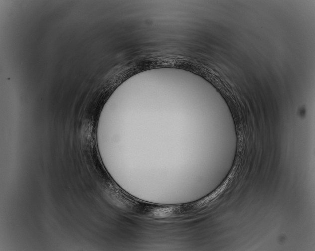 X0000100940178200806241211