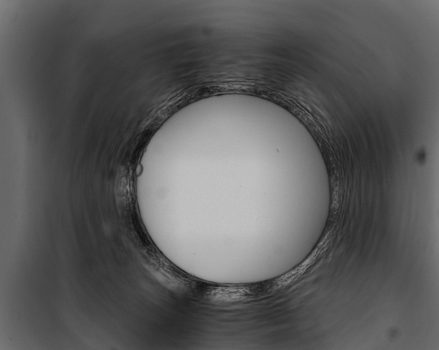X0000100940179200806241211