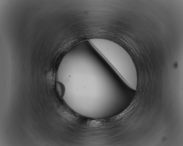 X0000100940180200806241211