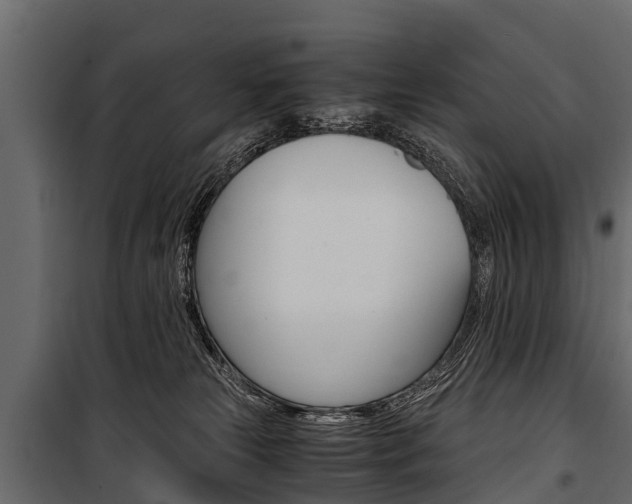 X0000100940181200806241211