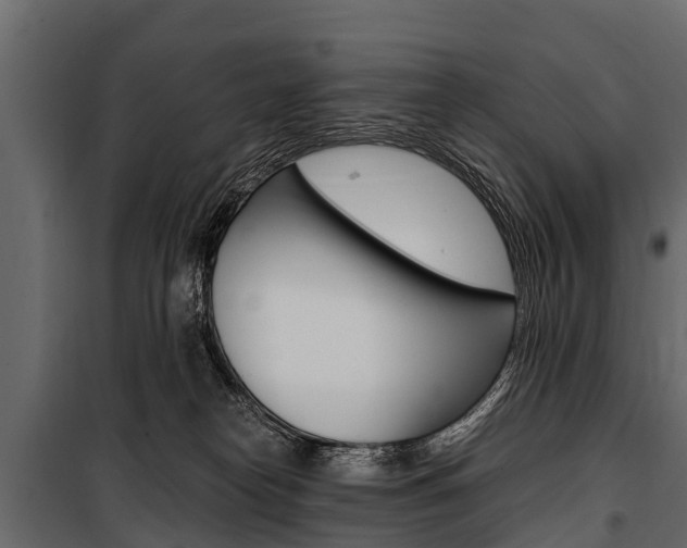 X0000100940182200806241211