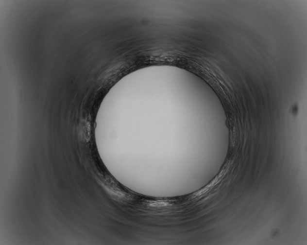 X0000100940183200806241211